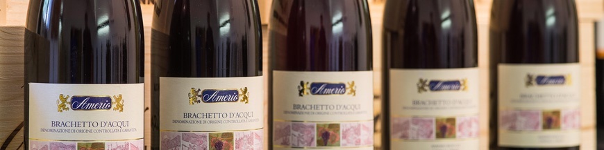 Vini rossi del Piemonte