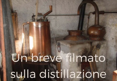 Kurzes Video über die Verkostung 